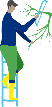 Person gardening